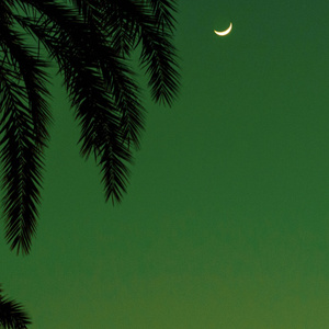 国产男女无套✅免费漫画
